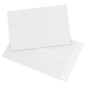 10 x 13" White Flat Tyvek® Envelopes