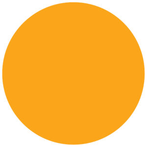 1 1/2" Circles - Fluorescent Orange Removable Labels
