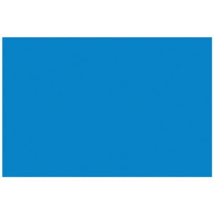 2 x 3" - Blue Removable Rectangle Labels