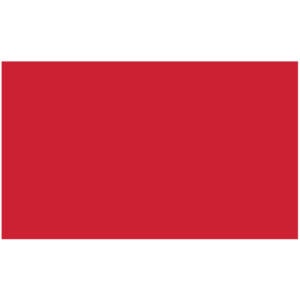 3 x 5" - Fluorescent Red Removable Rectangle Labels