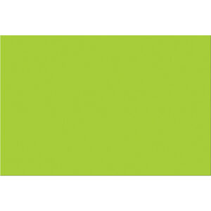 2 x 3" Fluorescent Green Inventory Rectangle Labels