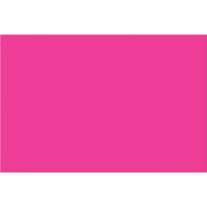 2 x 3" Fluorescent Pink Inventory Rectangle Labels