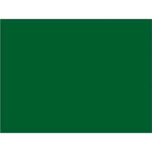 3 x 4" Green Inventory Rectangle Labels