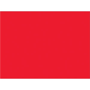 3 x 4" Fluorescent Red Inventory Rectangle Labels