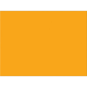 3 x 4" Fluorescent Orange Inventory Rectangle Labels