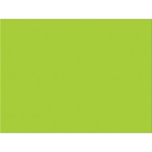 3 x 4" Fluorescent Green Inventory Rectangle Labels