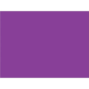 3 x 4" Purple Inventory Rectangle Labels