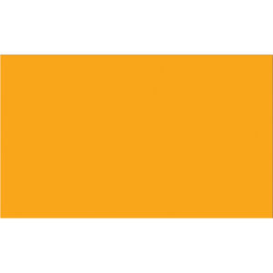 3 x 5" Fluorescent Orange Inventory Rectangle Labels