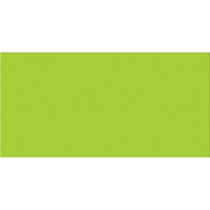 3 x 6" Fluorescent Green Inventory Rectangle Labels