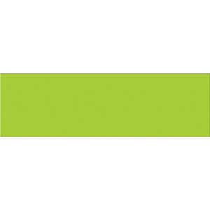 3 x 10" Fluorescent Green Inventory Rectangle Labels