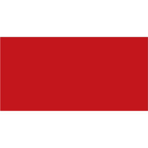 2 x 4" Red Inventory Rectangle Labels