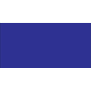 2 x 4" Dark Blue Inventory Rectangle Labels