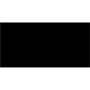 2 x 4" Black Inventory Rectangle Labels