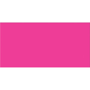 2 x 4" Fluorescent Pink Inventory Rectangle Labels