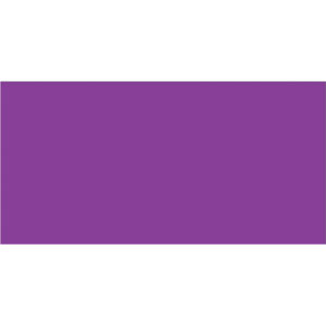 2 x 4" Purple Inventory Rectangle Labels