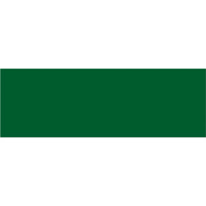 3 x 9" Green Inventory Rectangle Labels