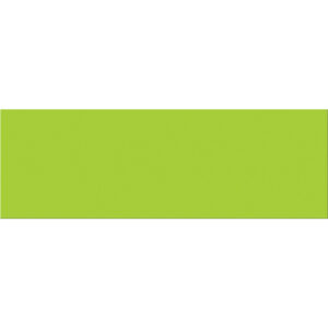 3 x 9" Fluorescent Green Inventory Rectangle Labels
