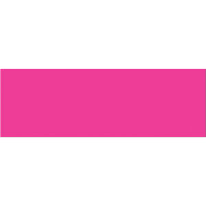3 x 9" Fluorescent Pink Inventory Rectangle Labels