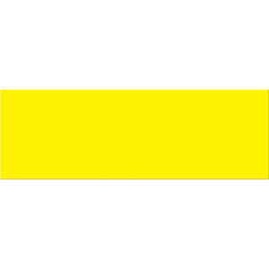 3 x 9" Fluorescent Yellow Inventory Rectangle Labels
