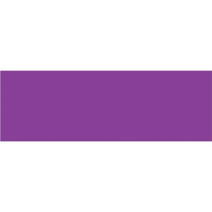 3 x 9" Purple Inventory Rectangle Labels