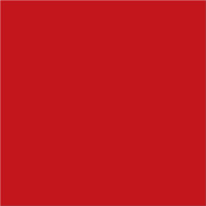 4 x 4" Red Inventory Rectangle Labels