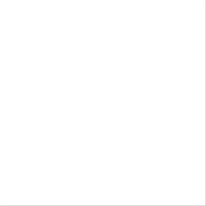4 x 4" White Inventory Rectangle Labels