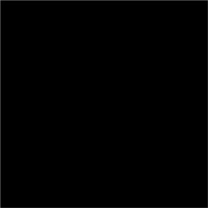 4 x 4" Black Inventory Rectangle Labels