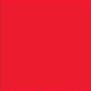 4 x 4" Fluorescent Red Inventory Rectangle Labels