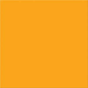 4 x 4" Fluorescent Orange Inventory Rectangle Labels