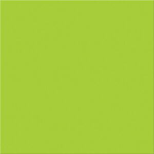 4 x 4" Fluorescent Green Inventory Rectangle Labels