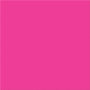 4 x 4" Fluorescent Pink Inventory Rectangle Labels