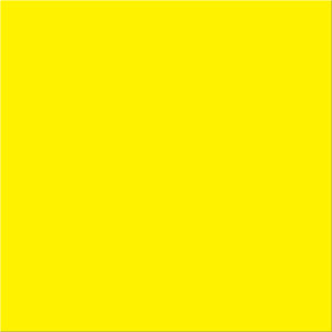 4 x 4" Fluorescent Yellow Inventory Rectangle Labels