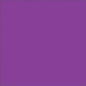4 x 4" Purple Inventory Rectangle Labels