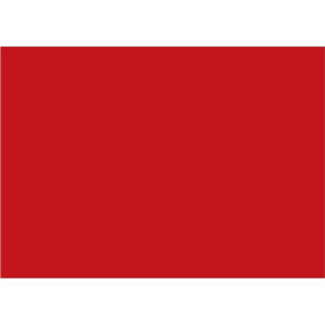 5 x 7" Red Inventory Rectangle Labels