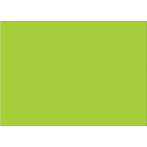5 x 7" Fluorescent Green Inventory Rectangle Labels