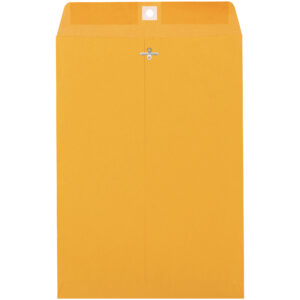 10 x 15" Kraft Clasp Envelopes