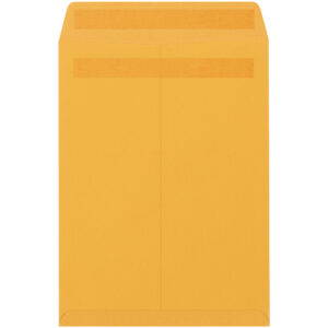 10 x 15" Kraft Redi-Seal Envelopes