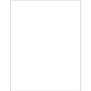 8 1/2 x 11" Vinyl Envelope Insert Cards